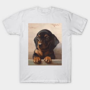 Dachshund Puppy (circa 1900) by Carl Reichert T-Shirt